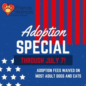 Adoption Special on Cats and Kittens Through July 14!