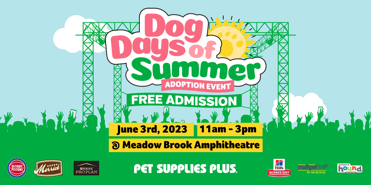 DOG DAYS, Special Event