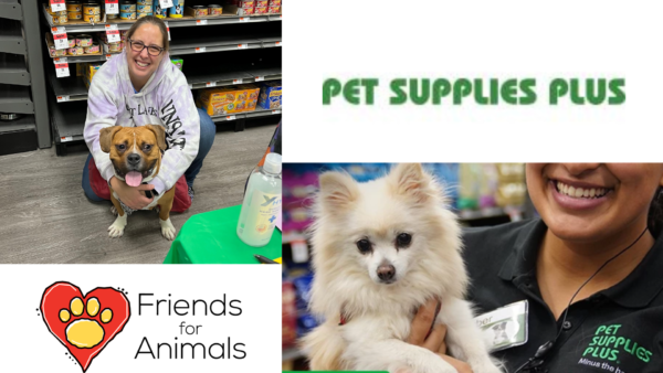 Pet Supplies Plus Dual Dearborn and Redford Adoption Events